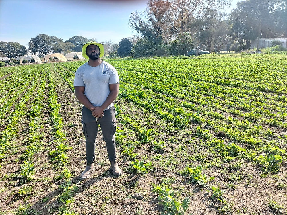 South African spinach grower thrives thanks to key partnership with